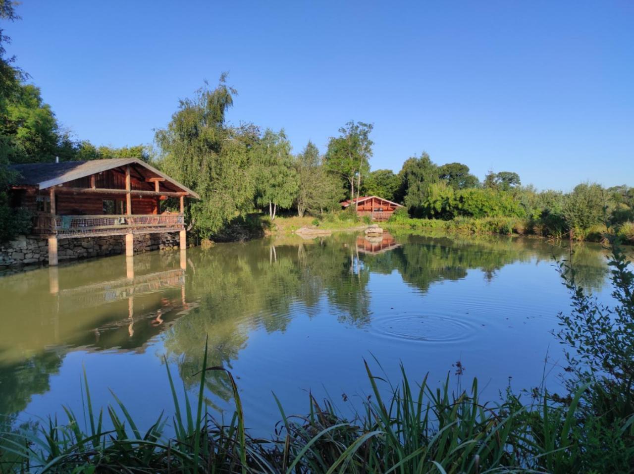 Le Domaine De La Vergnolle Roches  Bagian luar foto