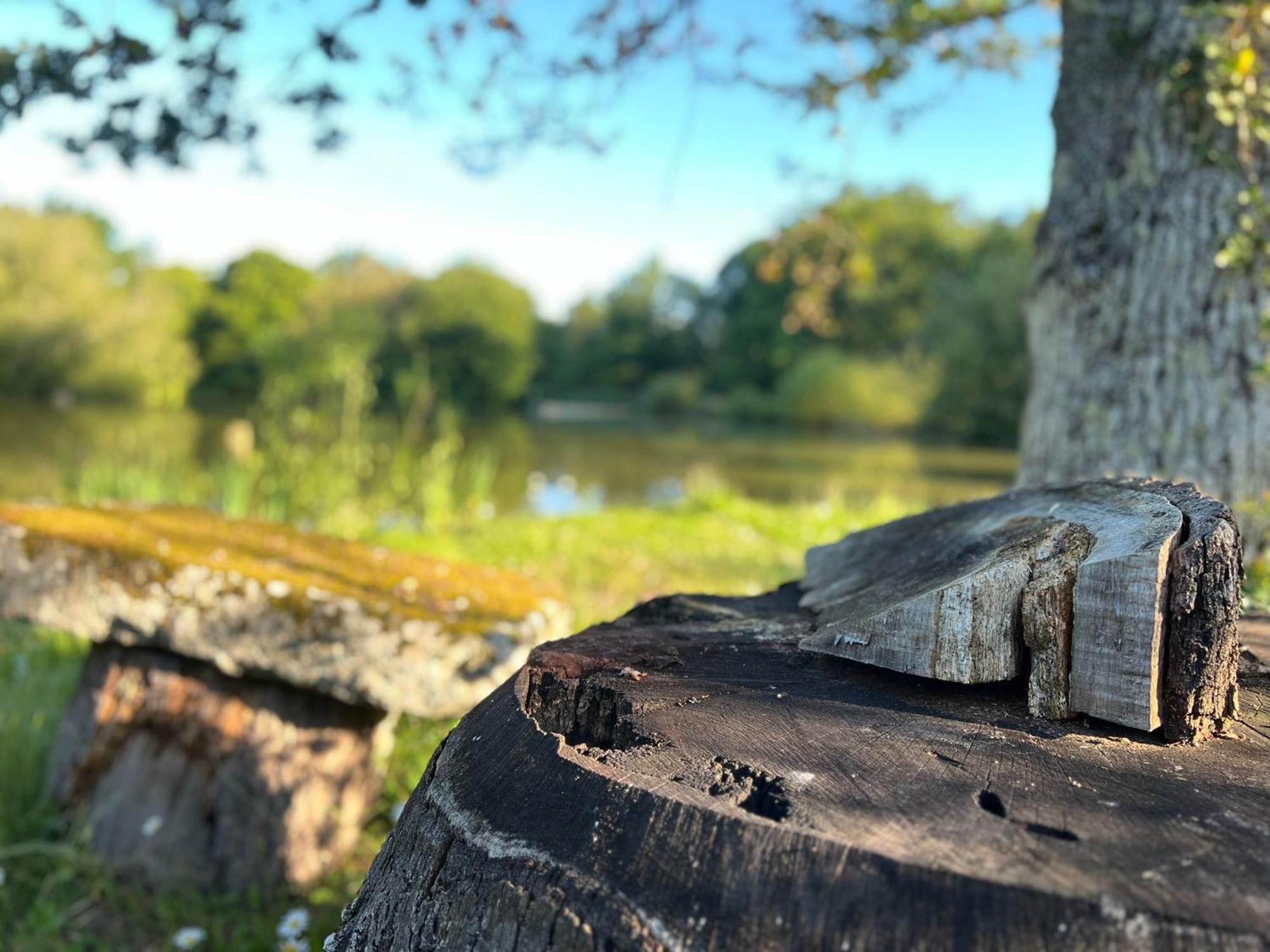 Le Domaine De La Vergnolle Roches  Bagian luar foto