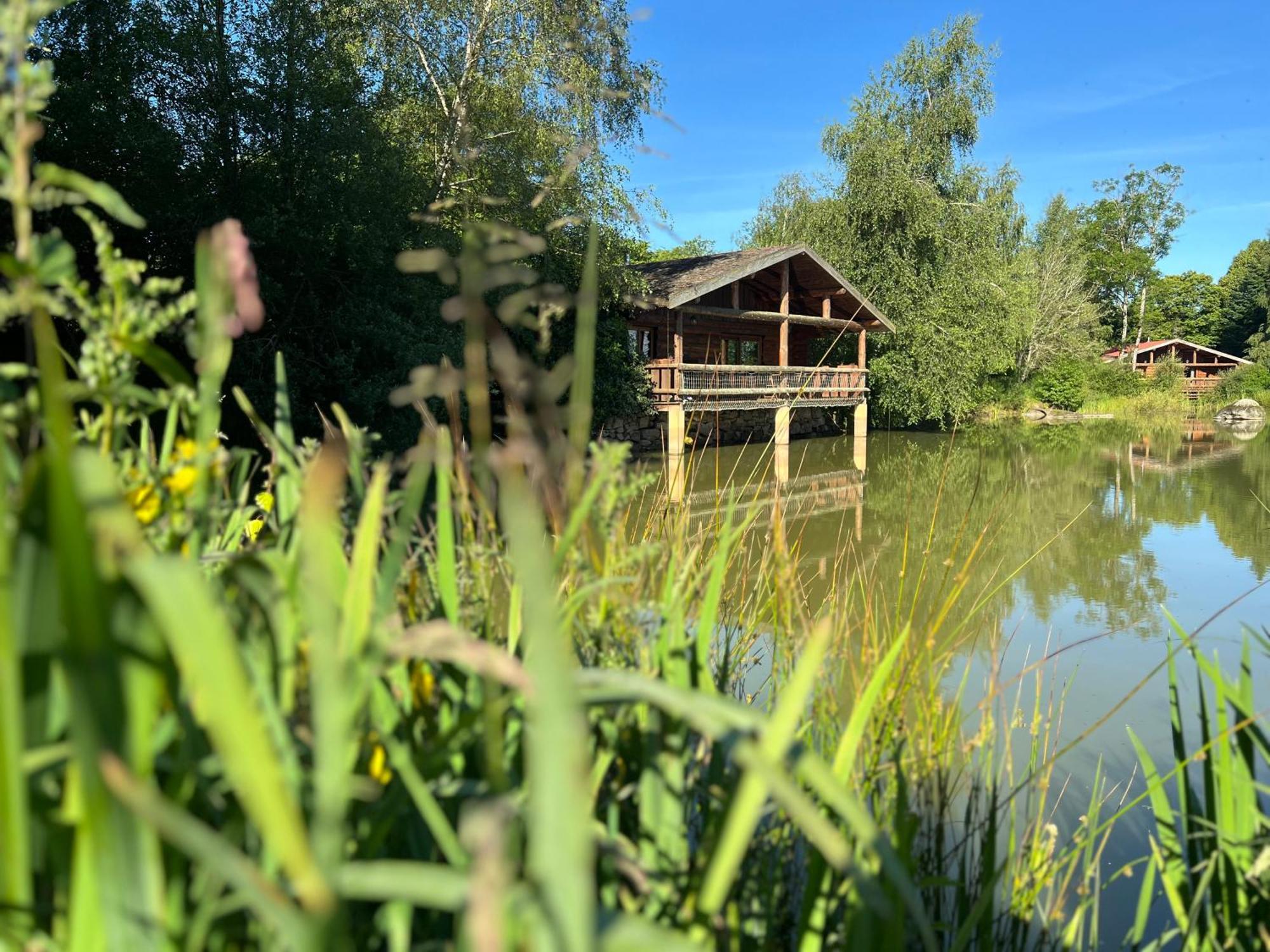 Le Domaine De La Vergnolle Roches  Bagian luar foto