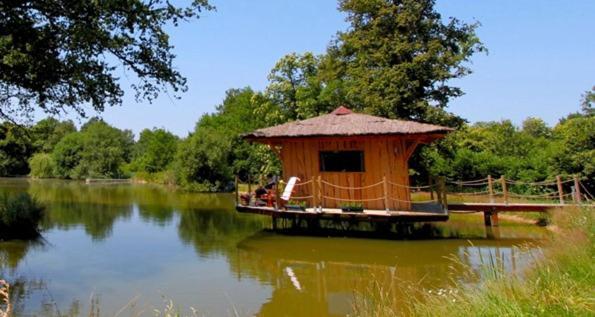 Le Domaine De La Vergnolle Roches  Bagian luar foto