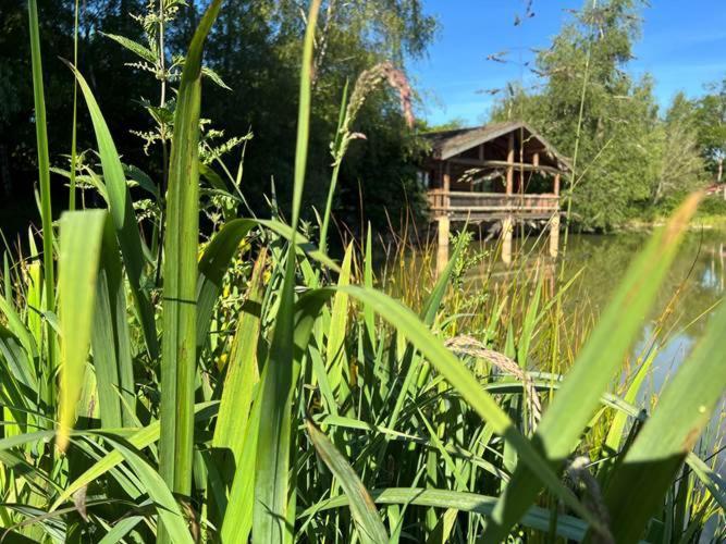 Le Domaine De La Vergnolle Roches  Ruang foto